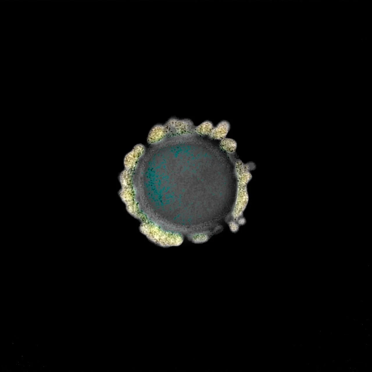 Depth Representation 2